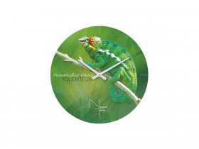 Часы настенные Nicole Time NT503 в Красном Яре (селе) - krasnyj-yar-selo.mebel-nsk.ru | фото