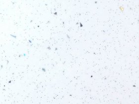 Мебельный щит 3000*600/6мм № 55гл белая в Красном Яре (селе) - krasnyj-yar-selo.mebel-nsk.ru | фото